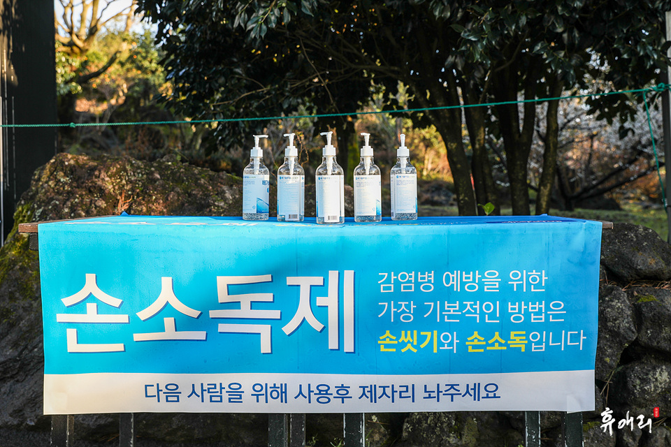 제주봄 이미지