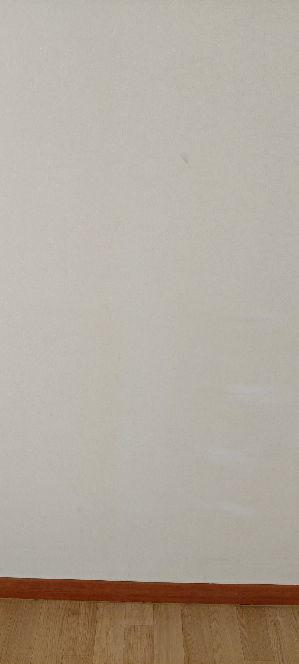 김포부부청소 이미지
