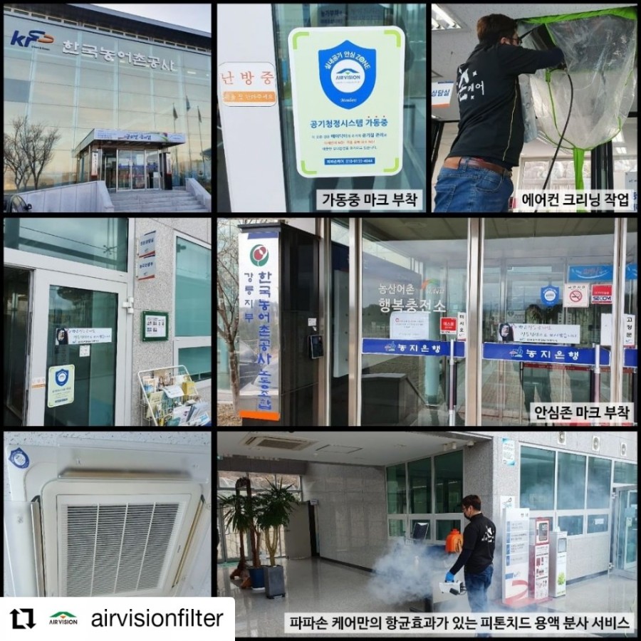 파파손케어 이미지
