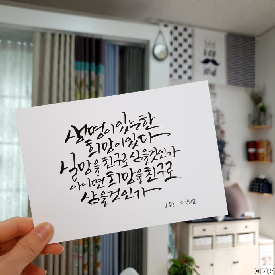 바오캘리 이미지