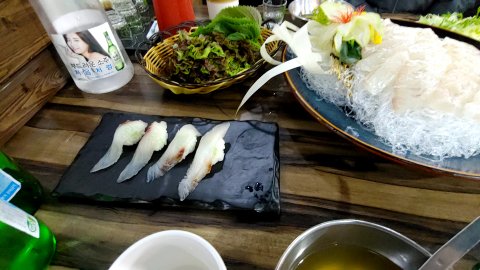 스시 먹는 오징어 이미지