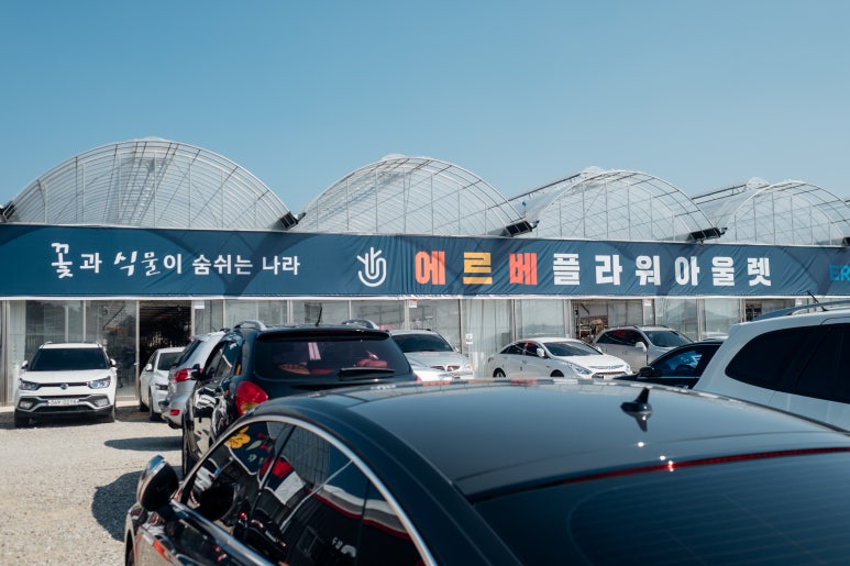 플라워다육 이미지