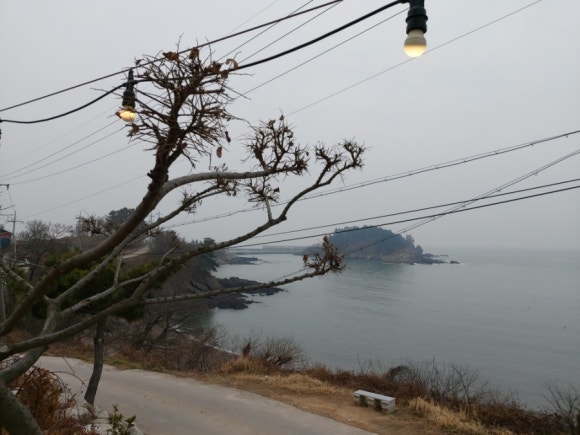 마르카페 이미지