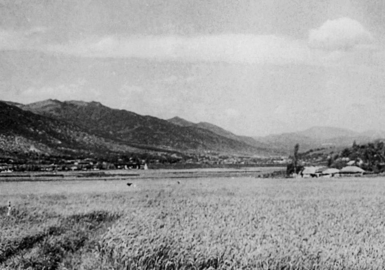 연산1942 이미지