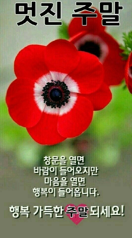 장충동왕족발보쌈 이미지
