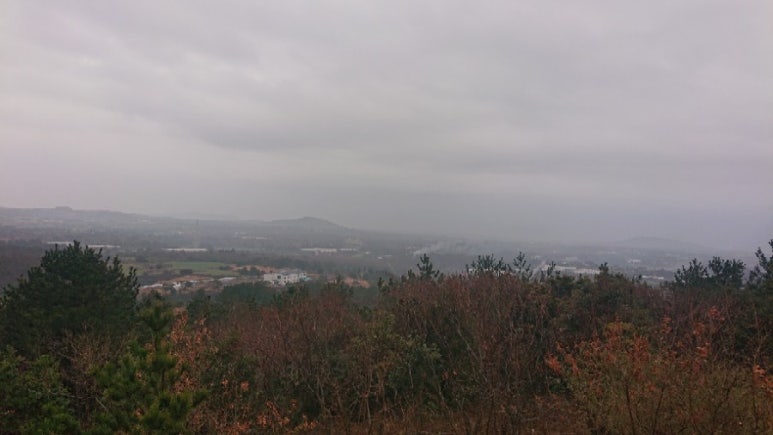 오름수산 이미지