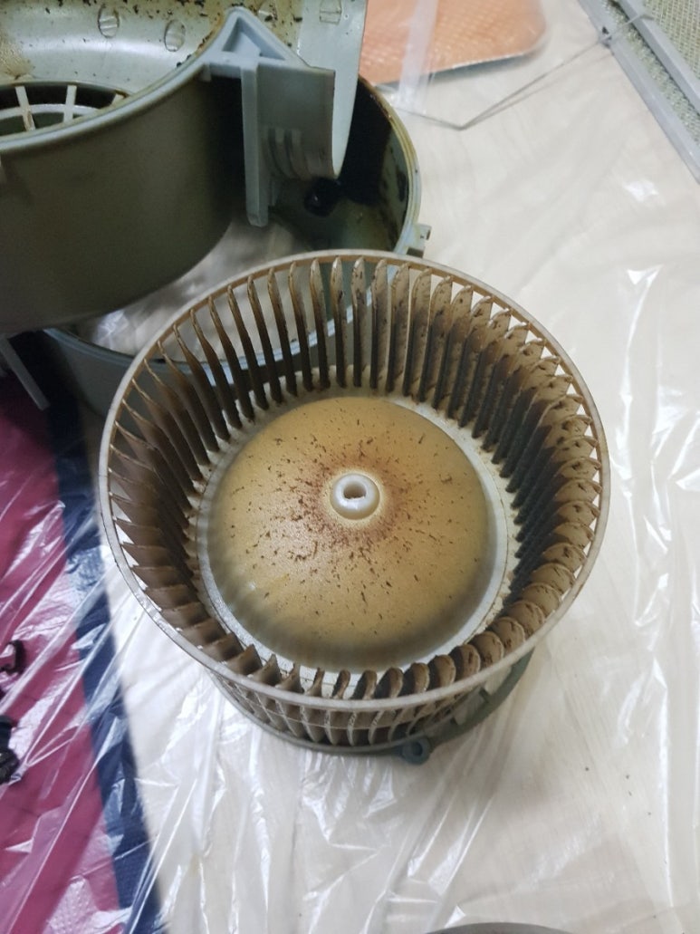 쿠벤 이미지