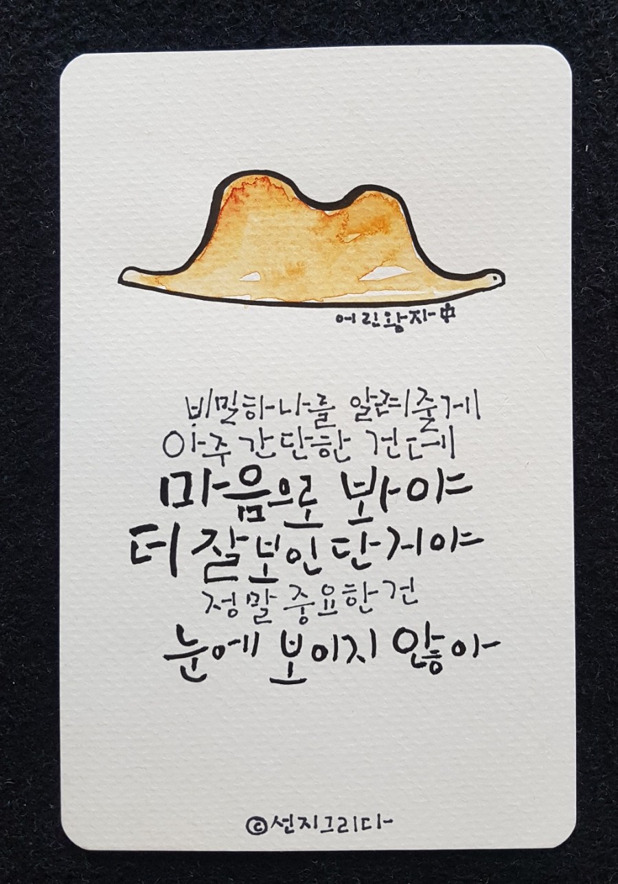 선지그리다 이미지