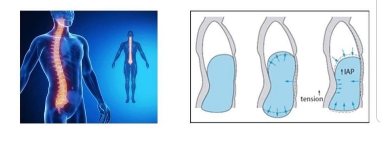 제이코어 이미지