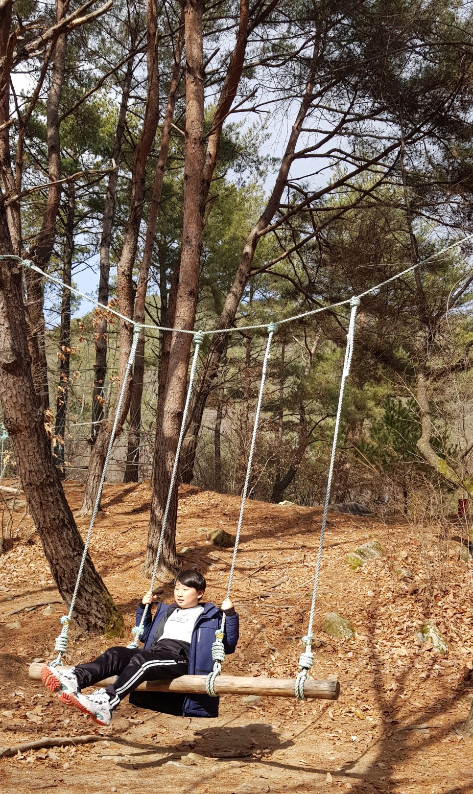 한라산통돼지출장바베큐 이미지