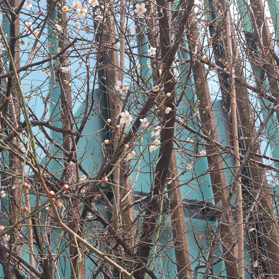 산정한식뷔페 이미지