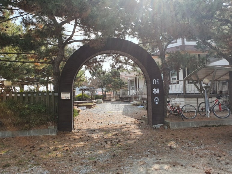 서해송 이미지