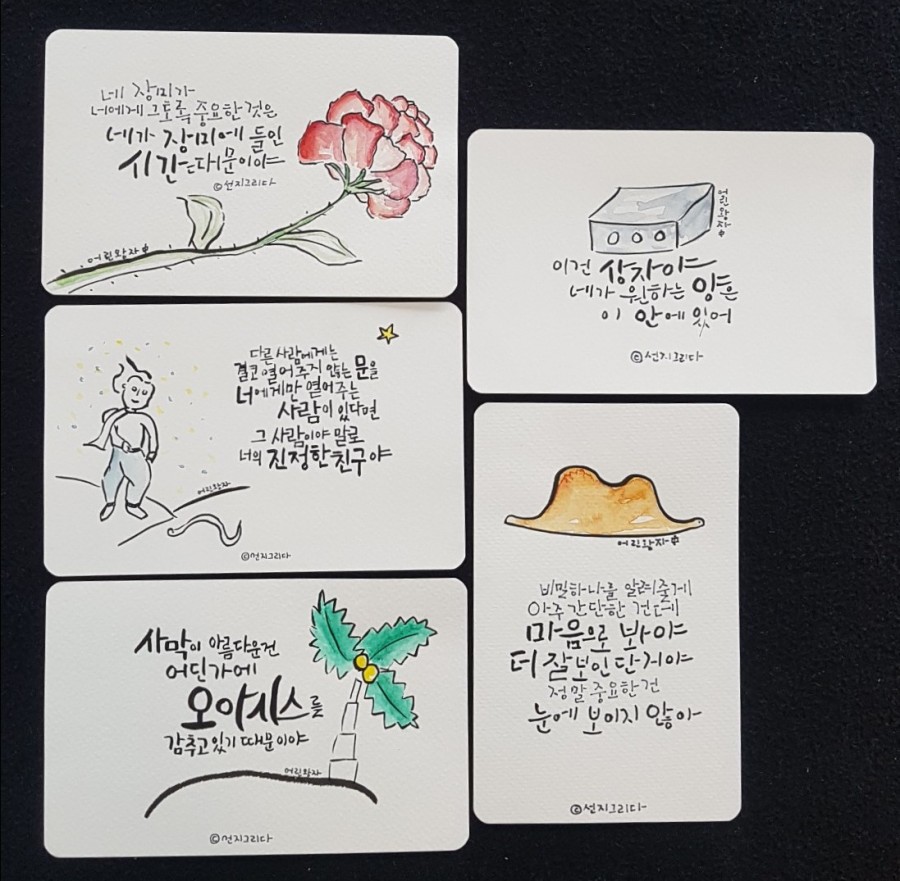 선지그리다 이미지