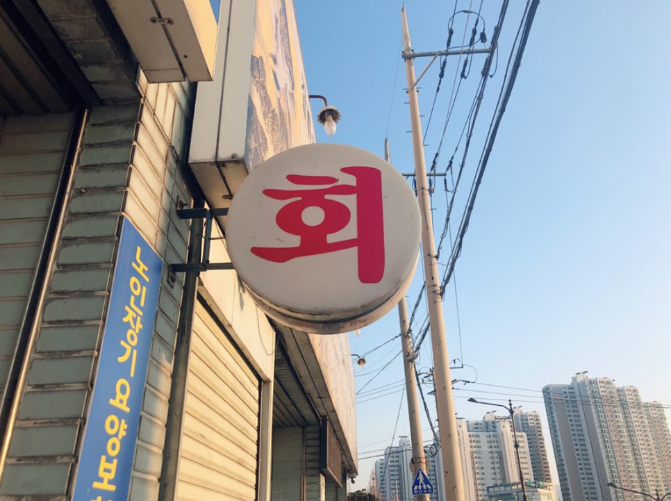 완도회타운 이미지