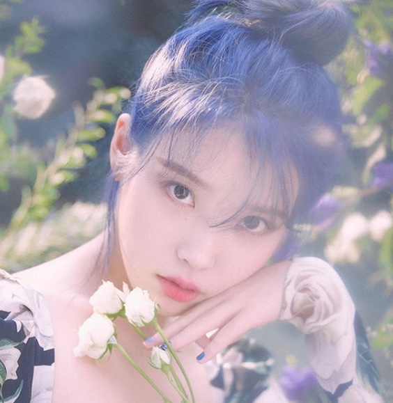 블루자이 이미지