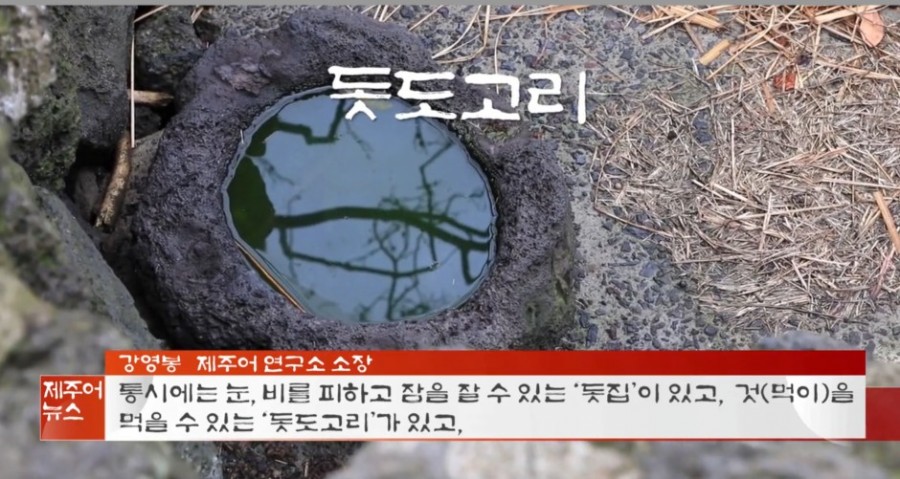 돗집 이미지