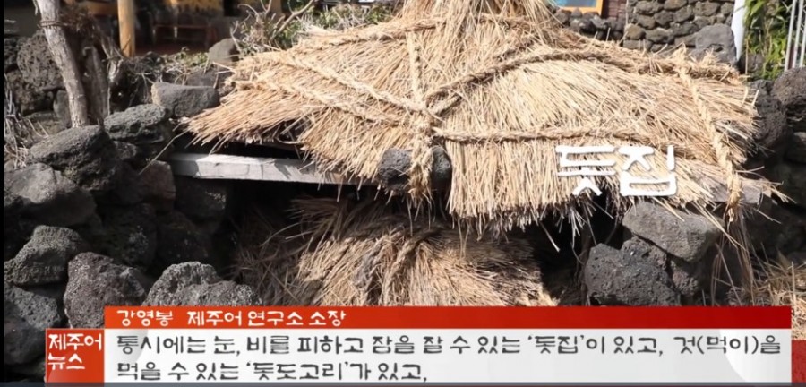 돗집 이미지