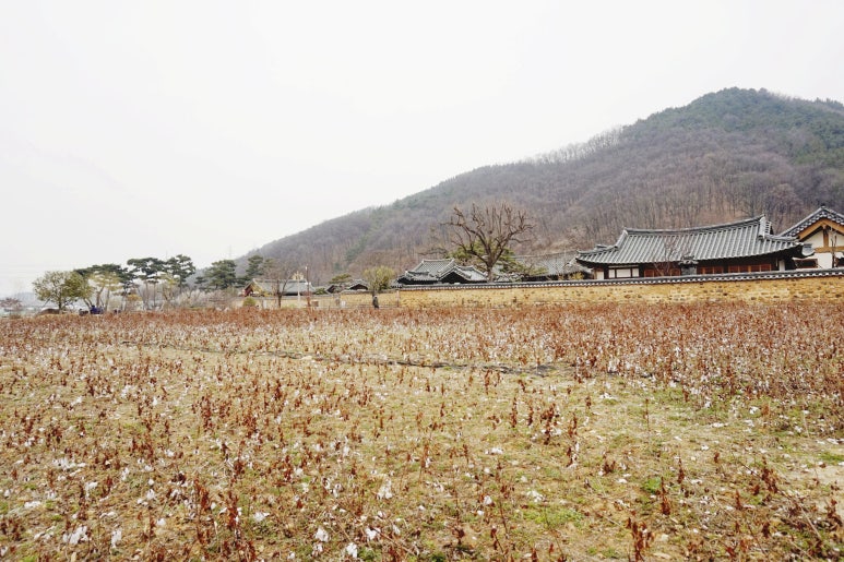 본리가정 이미지