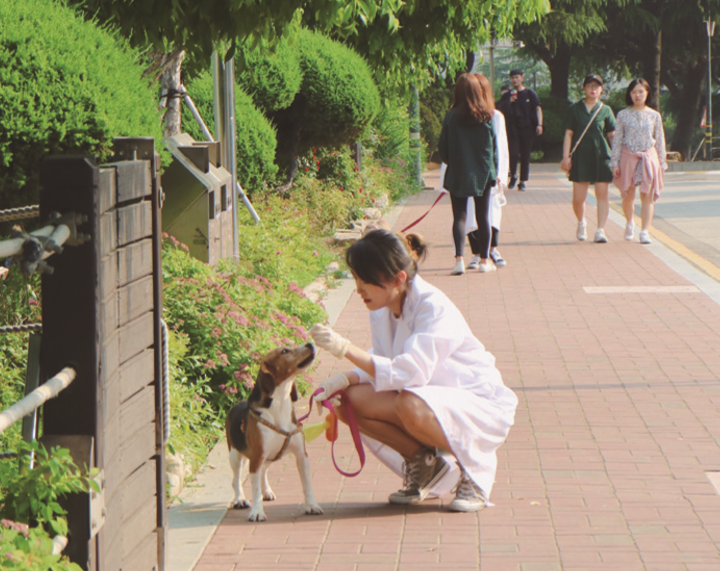 새삶 이미지