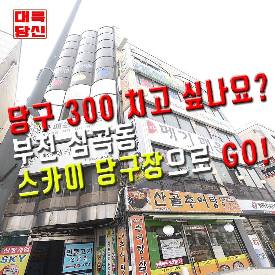 스카이당구장 이미지