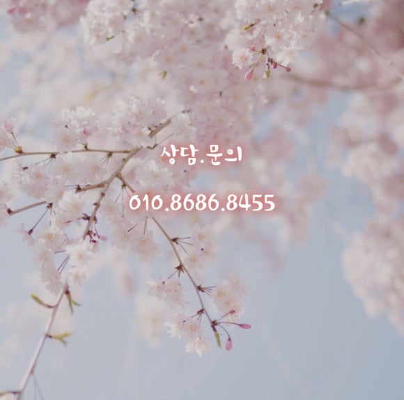 고고씽점핑 이미지