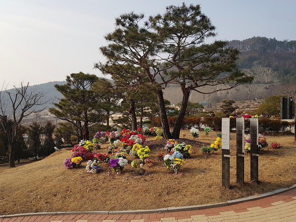 당진산소 이미지