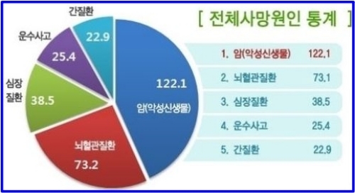 진단플러스 이미지