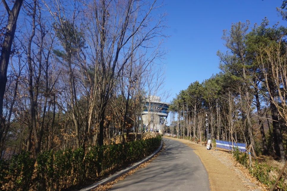 호수카페 이미지