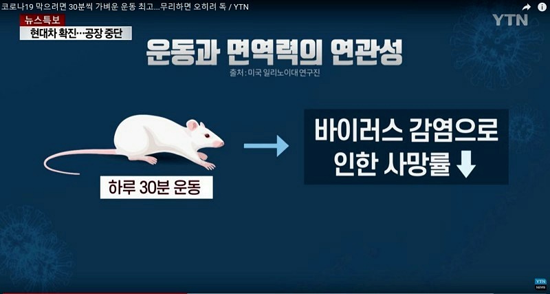 인어스휘트니스 이미지