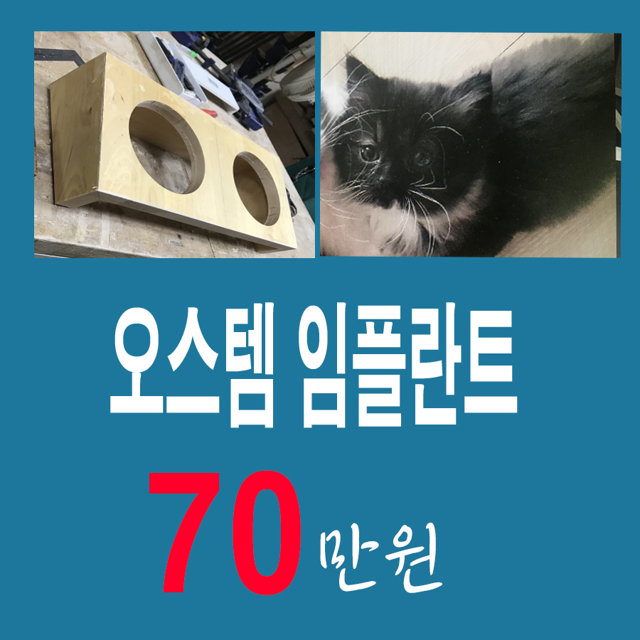 포샤르플란트치과의원 이미지