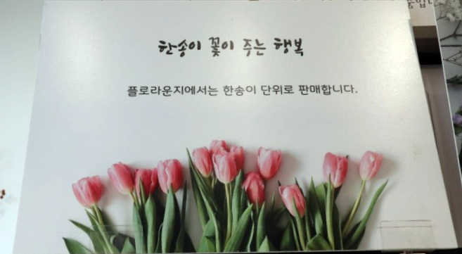 써니플로 이미지