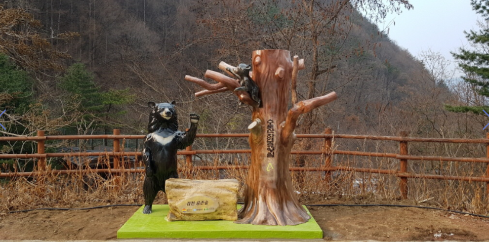 수도산자연휴양림 이미지