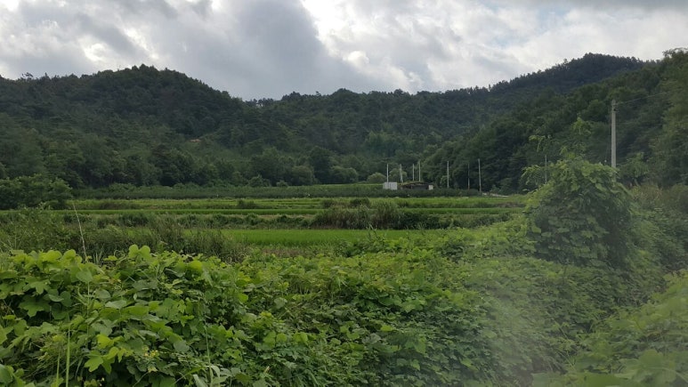 성냥골농장 이미지