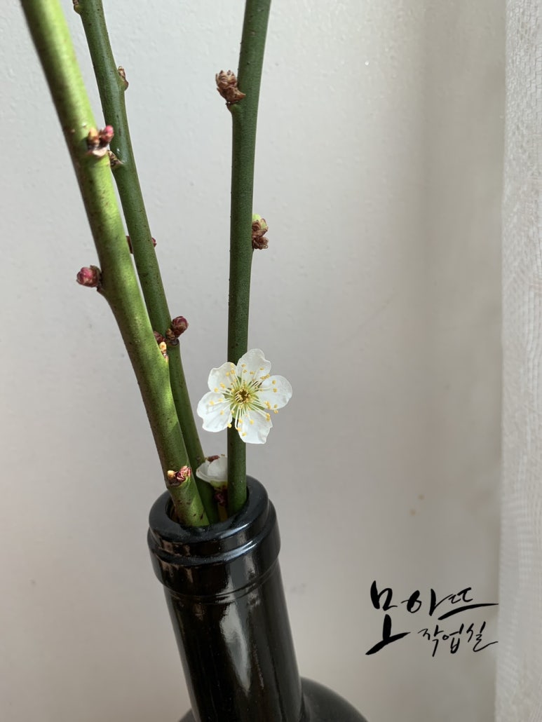 매화작업실 이미지