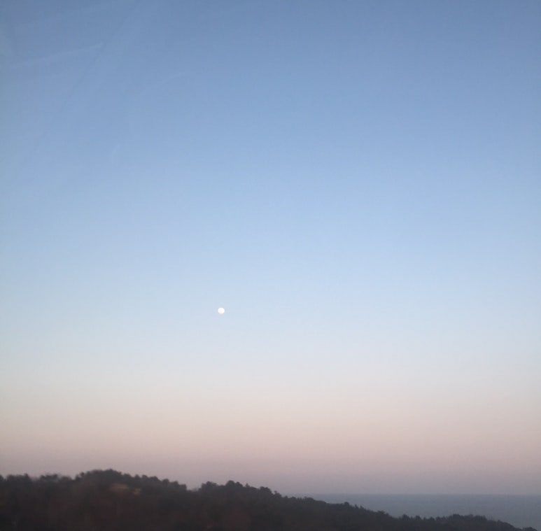 김명자낙지마당 이미지