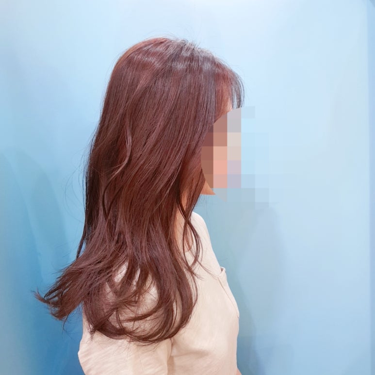 칼리헤어 이미지