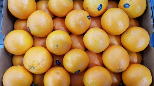 피씨앤 이미지