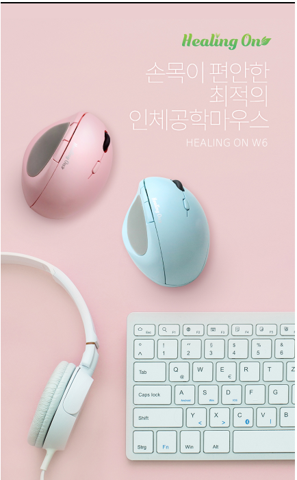 에스티온 이미지