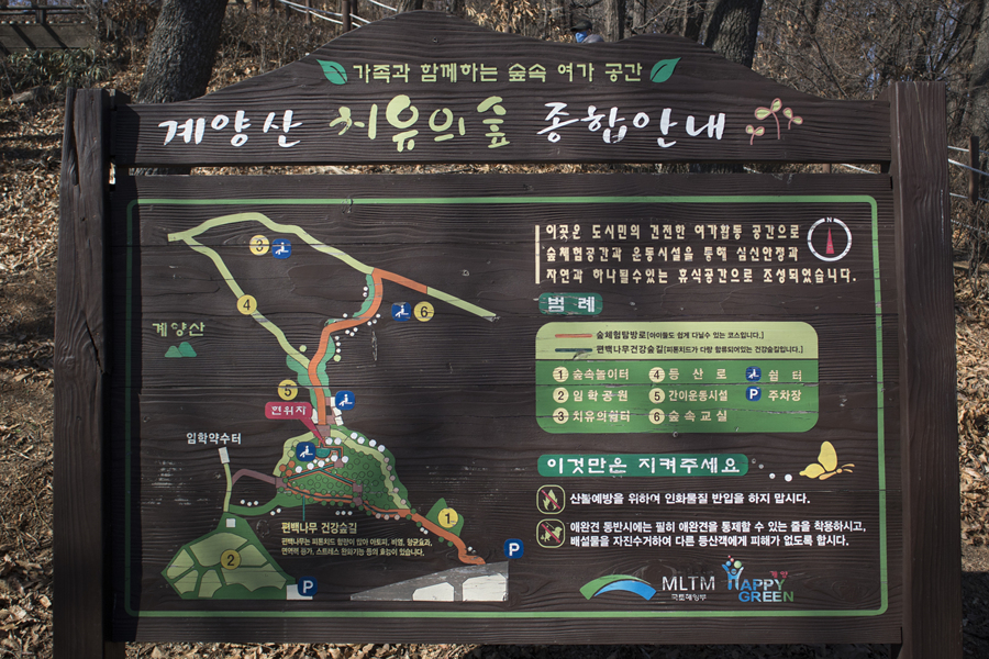 아콘유아숲체험원 이미지