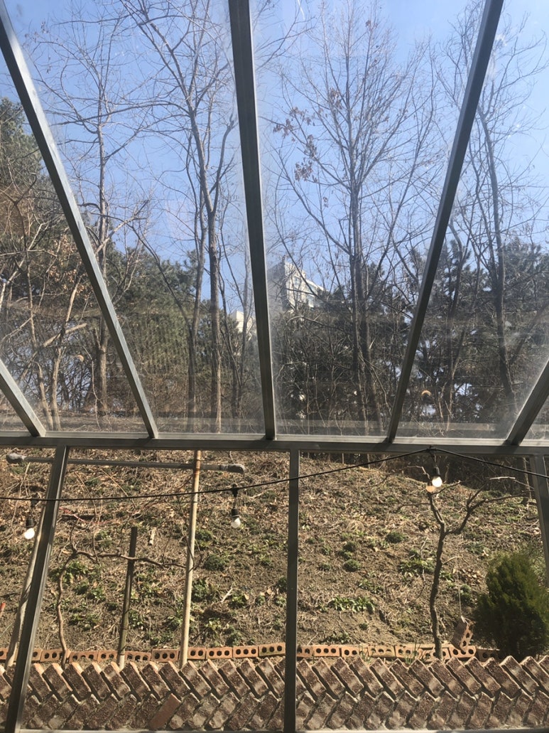 별빛에반하다 이미지
