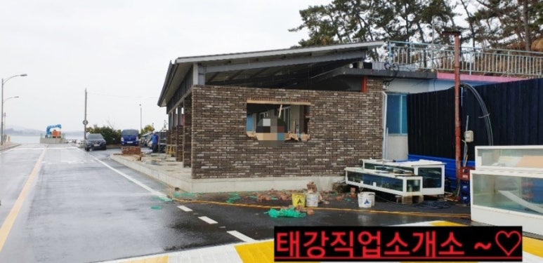 칼라직업소개소 이미지