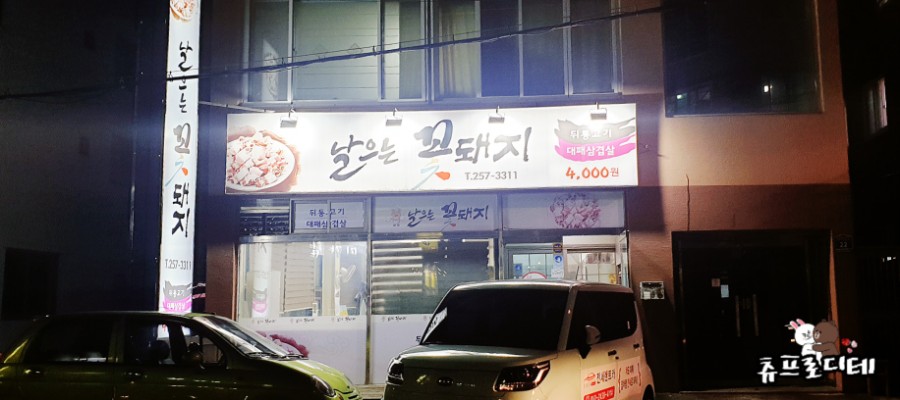 날으는꽃돼지 이미지