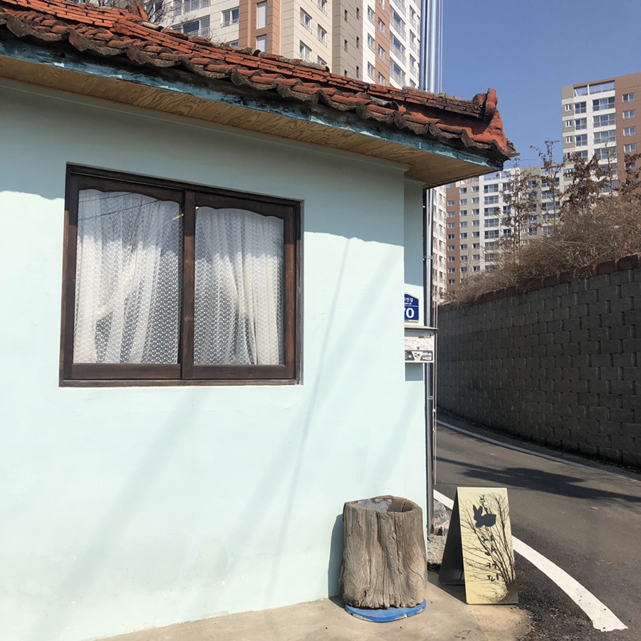 카페지안 이미지