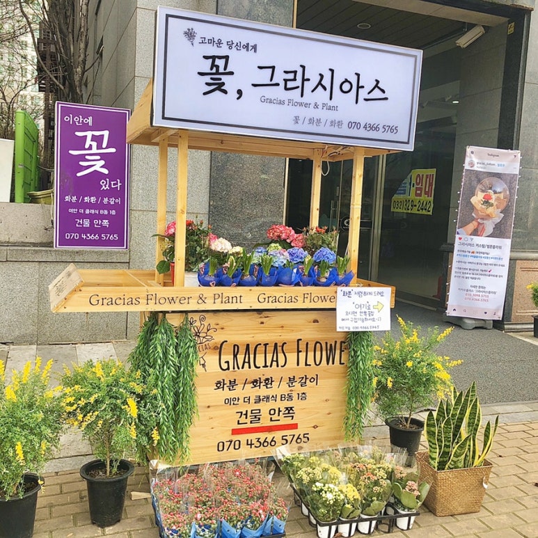 그라시아스꽃집 이미지