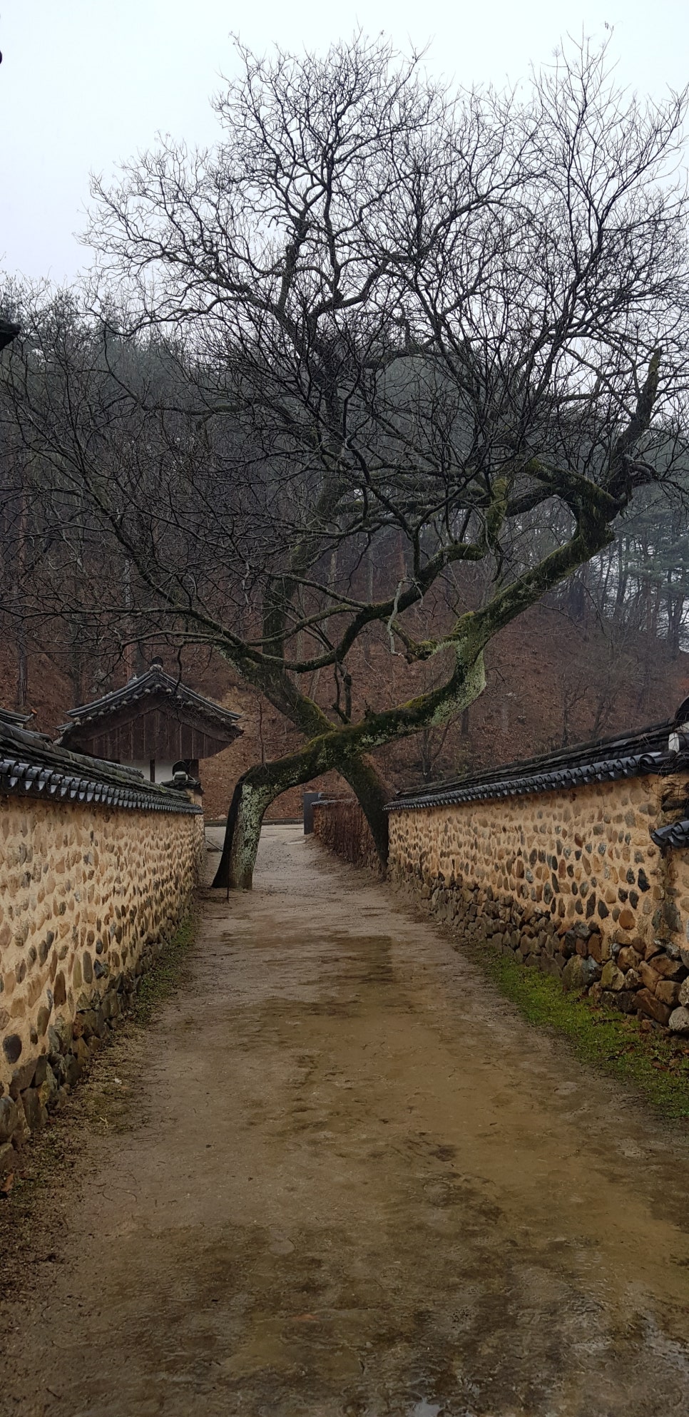 남사예담촌 이씨고가 이미지