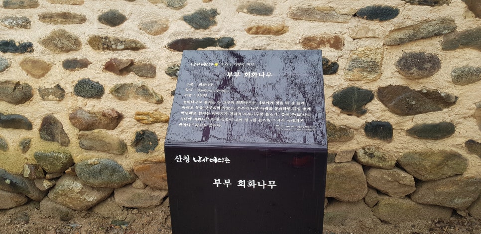 남사예담촌 이씨고가 이미지