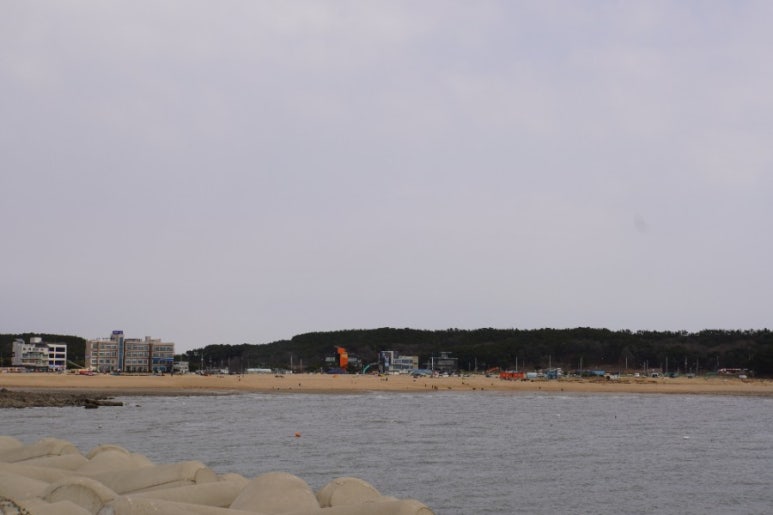 무의도물회 이미지