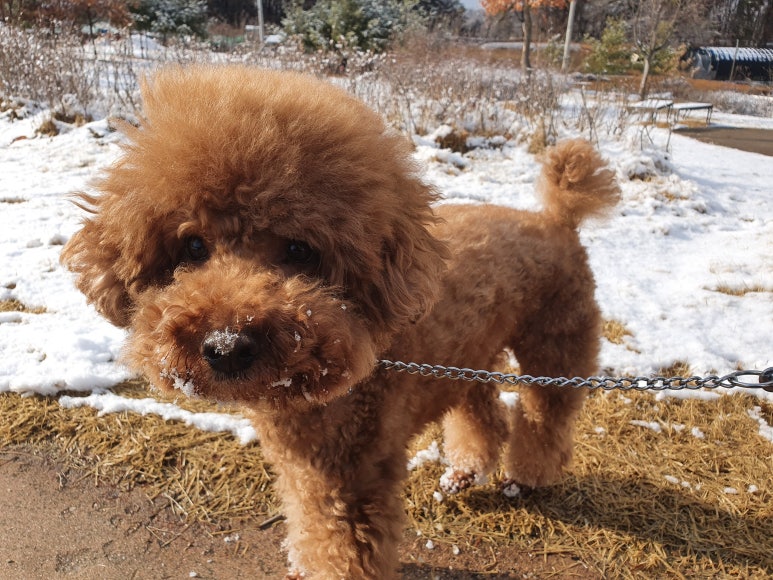 어느날,산책 이미지