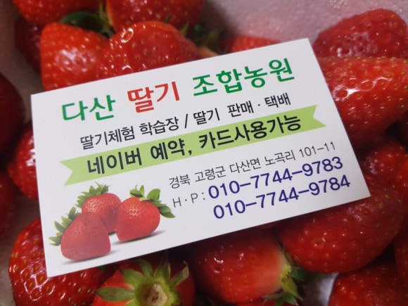 다산딸기수출 이미지