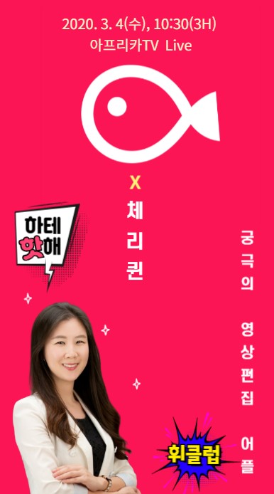 와이테일 이미지